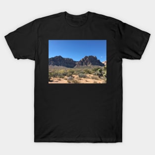 Nevada T-Shirt